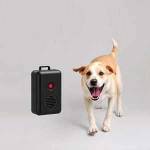 electronic-dog-repeller-aggressive-dog-a-640x480-18760484.jpeg