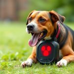 Canine Behavior Modification: Ultrasonic Systems & Effective Training Techniques