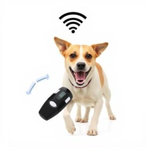 electronic-dog-repeller-aggressive-dog-a-640x480-51861112.jpeg