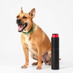 Stop Dog Attacks: Pepper Spray as the Best Way to Protect and Prevent