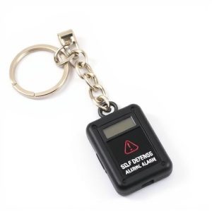 self-defense-alarm-keychain-bulk-640x480-10965180.jpeg