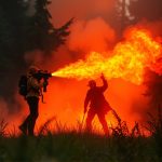 Wildfire Pepper Spray: Enhancing Law Enforcement Surveillance Tactics