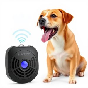 electronic-dog-repeller-aggressive-dog-a-640x480-13280395.jpeg