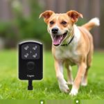 Rechargeable Ultrasonic Bark Control: Shock-Resistant Solutions for Dog Training