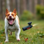 Canine Repellent Spray: Unlocking Protection with OC Percentage