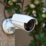 Professional Looking Dummy Surveillance Cameras: Features & Applications