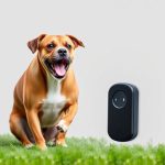 Safe Pet Control: Exploring Ultrasonic Dog Deterrent Frequency Options