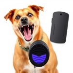 Ultrasonic Repeller Devices: Optimal Placement for Dog Behavior Modification