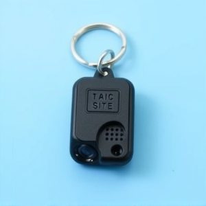 mini-keychain-spy-camera-with-built-in-d-640x480-67524374.jpeg