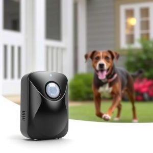 motion-sensor-barking-dog-alarm-640x480-92514517.jpeg