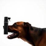 Mail Delivery Dog Defense Spray: Understanding OC Percentage and Safety