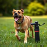 Mace Dog Spray Legal Defense: Storing, Misconceptions, & Successful Strategies