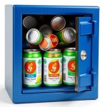 Disguised Safes: Creative Home Security Options for Incognito Protection
