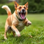 Professional Dog Repellent Spray: Training, Safety & Effectiveness Guide