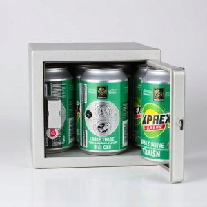 diversion-safescan-safesstash-cans-640x480-5530308.jpeg