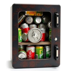 diversion-safescan-safesstash-cans-640x480-66878199.jpeg
