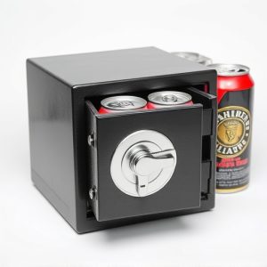 diversion-safescan-safesstash-cans-640x480-77123094.jpeg