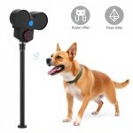 Electronic Dog Repeller: LED Light for Safe Power Levels as Dog Deterrent