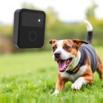 Safe & FDA Approved: Sonic Technology for Pet Control