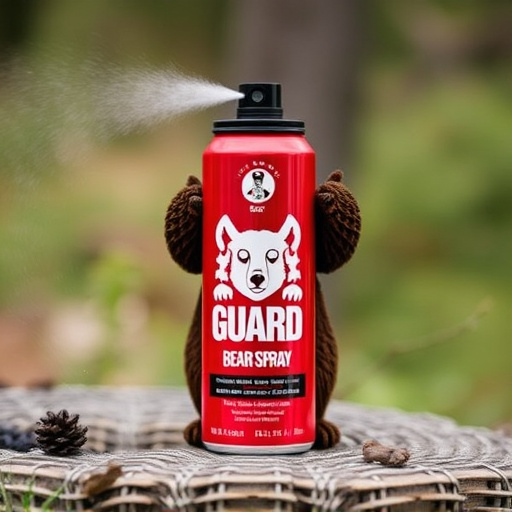 griz-guard-bear-spray-640x480-82240864.jpeg