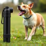 Pepper Spray for Aggressive Dogs: Safety, Choice, Technique, and Legalities