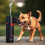 Treating Dog Pepper Spray Exposure: Causes, Safety & Solutions