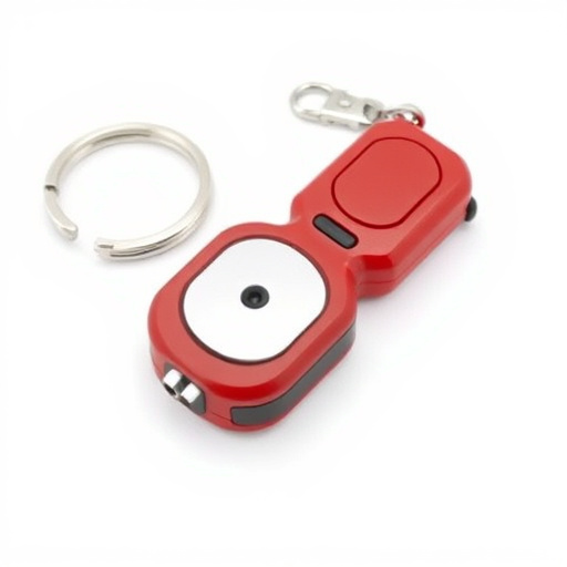 self-defense-alarm-keychain-640x480-80657743.jpeg