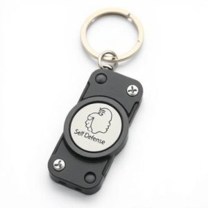 self-defense-keychain-640x480-47455766.jpeg