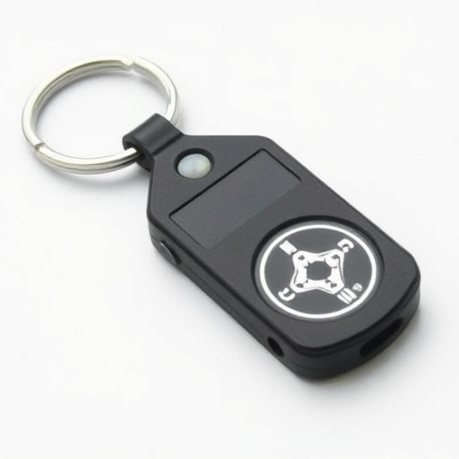 self-defense-keychain-640x480-69730163.jpeg