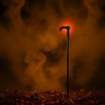 Walking Cane with Stun Gun: Enhanced Safety for Daily Mobility
