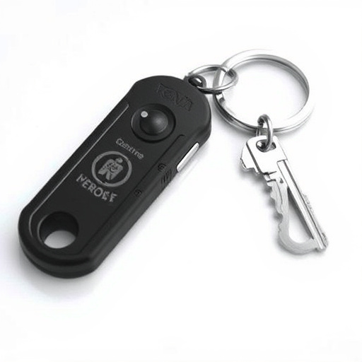 self-defense-keychain-640x480-91582103.jpeg