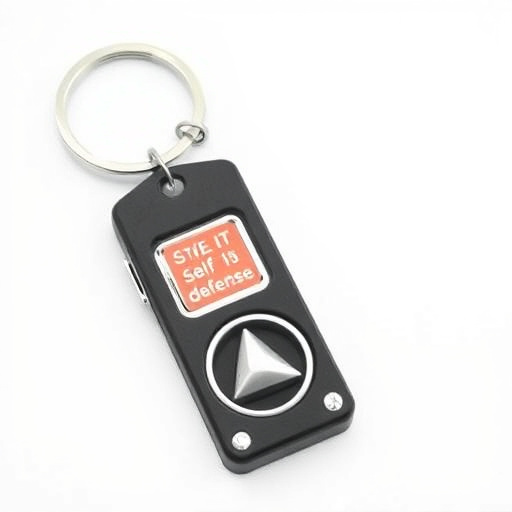 Stylish Keychain Alarm: Defense with a Flash of LED Light
